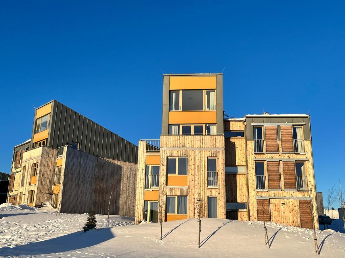 Meadows Apartments Klinovec Loučná pod Klínovcem 外观 照片