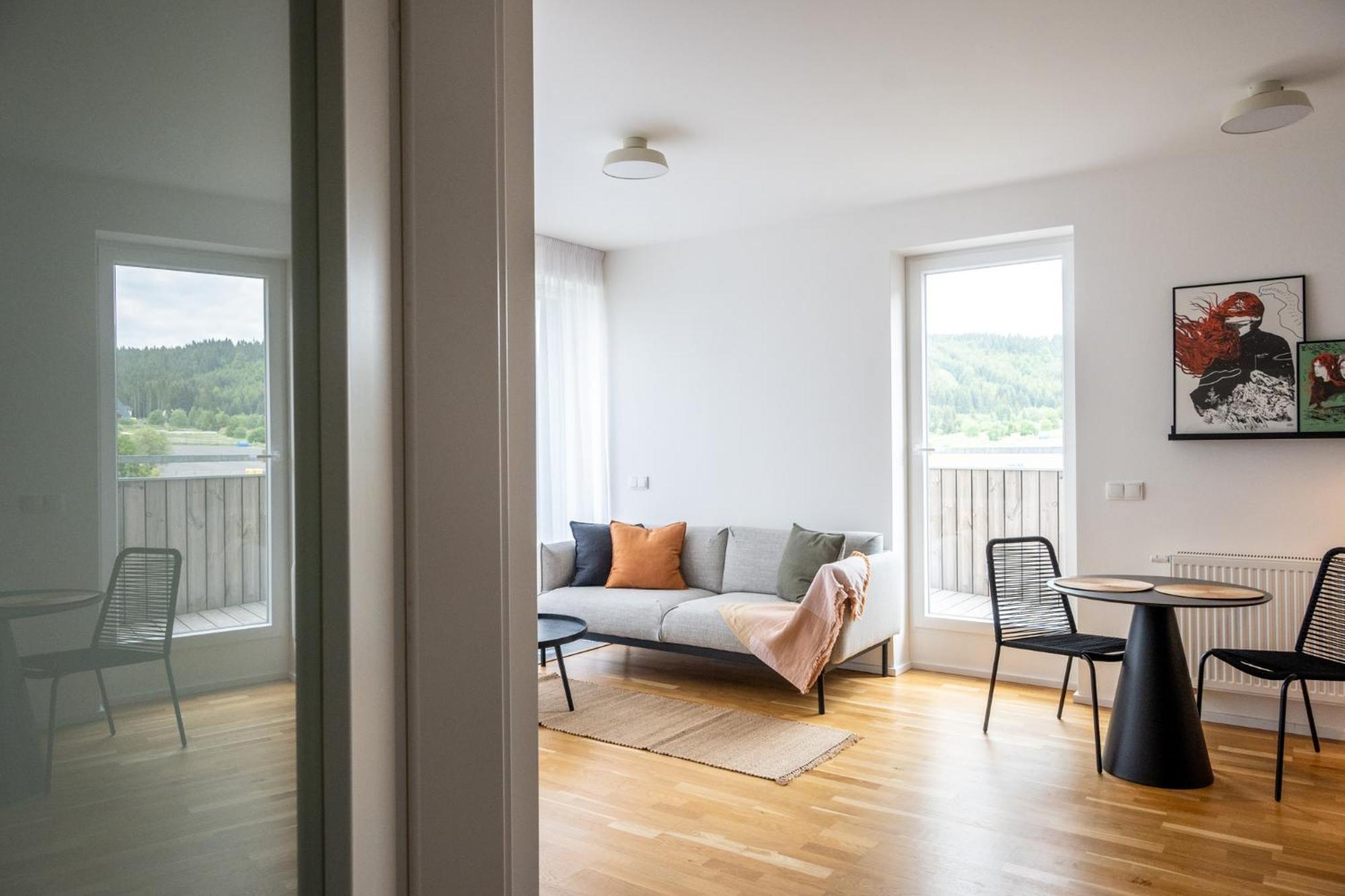 Meadows Apartments Klinovec Loučná pod Klínovcem 外观 照片