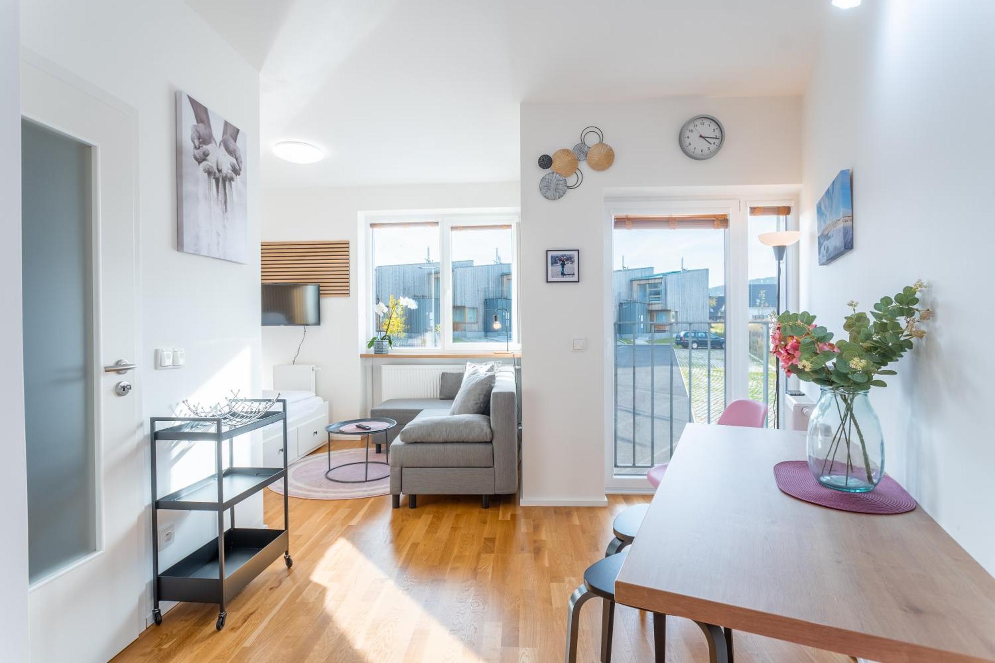 Meadows Apartments Klinovec Loučná pod Klínovcem 客房 照片