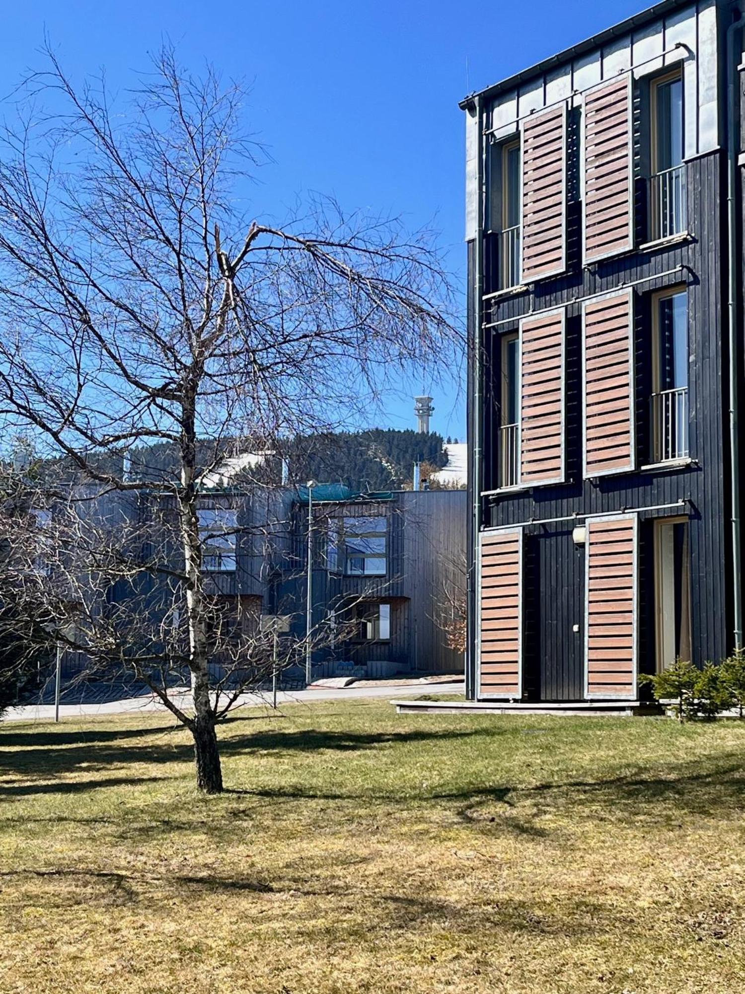 Meadows Apartments Klinovec Loučná pod Klínovcem 外观 照片